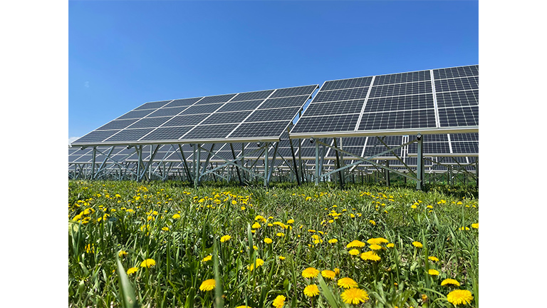 <参考>既存の太陽光発電所(LCE社建設)